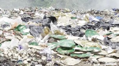 Amidst the Chaos - A Journey into the Heart of the Trash Pile