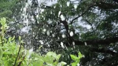 Crystal Clear Waterfall Euphoria - A Natural Oasis