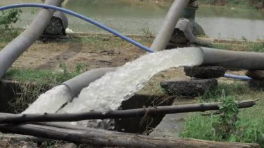 Water Pump in Action - Efficient Liquid Transfer