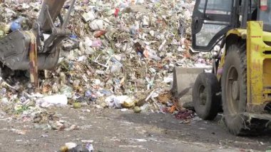 Unraveling the Hidden Chaos in a Trash Haven - An Introspection into Garbage Management