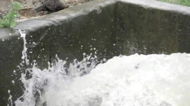 Vibrant Water Eruption - A Moment of Nature's Power