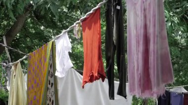 Colorful Laundry Line in a Tropical Garden