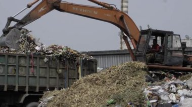 Mulching Machine at Work - Clearing Debris and Trash