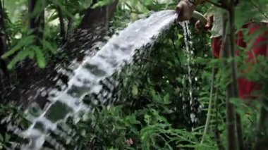 Stream of Water - A Serene Moment in Nature