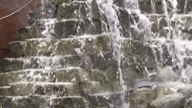 The Art of Waterfall - A Journey Through the Ethereal Waves