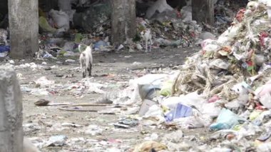 A Dreaded Garbage Nightmare - Trash Galore