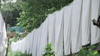 Serene Laundry Line - A Garden's Whimsy