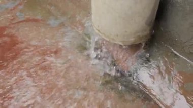 Soothing Water Pump Action | Elevated Aquatic Experience