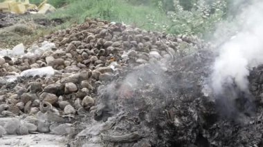 Contaminated Rock Pile Amidst Green Vegetation