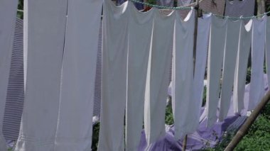 Organic Texture - A Whimsy of White Linens in the Wild