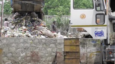 Discovering the Hidden World of Trash - An Unseen Journey Into the Realm of Rubbish