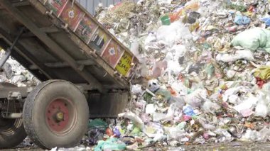 The Filthy Triumph - A Truck's Trashy Tale