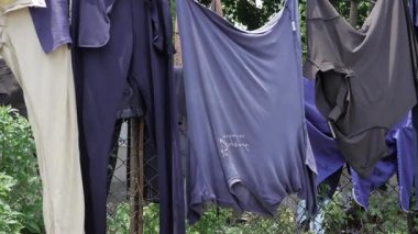 Clothesline Aerial - Elevated Laundry in a Jungle Oasis