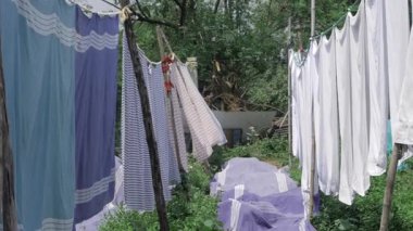 Washing in the Wild - A Whimsy of Laundry