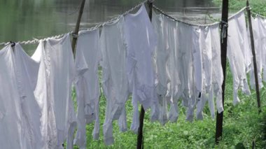 A Serene View - White Clothes Dangling by the Water's Edge