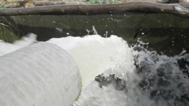 A Captivating Glimpse into the Enchanting World of Water Flow