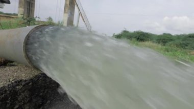 Vibrant Water Waves - A Journey Through the Jungle's Earthen Heart