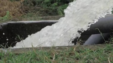 Vibrant Water Pump Energizing Nature's Palette