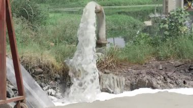 Streaming Elegantly - The Art of Water's Dance in Nature