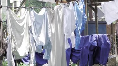 Organized Laundry - A View of Clothes on a Line
