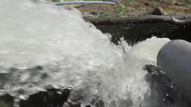 Crystal-Clear Water Erupting from Ground - A Nature's Marvel