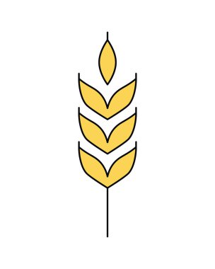Buğday kulağının vektör doğrusal simgesi beyaz arkaplanda izole edildi. Amblem, logo tasarımı, tarımın sembolü fırın için tahıl, organik biyolojik ürün, ekolojik iş, bira fabrikası birası, tarım. 