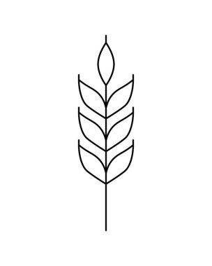 Buğday kulağının vektör doğrusal simgesi beyaz arkaplanda izole edildi. Amblem, logo tasarımı, tarımın sembolü fırın için tahıl, organik biyolojik ürün, ekolojik iş, bira fabrikası birası, tarım. 