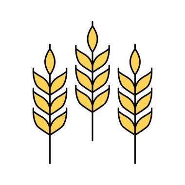 Buğday kulağının vektör doğrusal simgesi beyaz arkaplanda izole edildi. Amblem, logo tasarımı, tarımın sembolü fırın için tahıl, organik biyolojik ürün, ekolojik iş, bira fabrikası birası, tarım. 