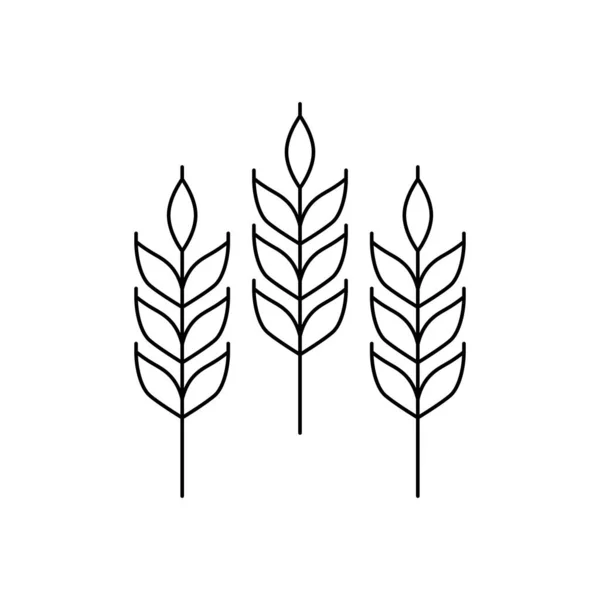 小麦穗部在白色背景上孤立的矢量线形图标 标志设计 农场全麦面包 有机生物制品 生态商务 酿造工艺啤酒 农业符号图解 — 图库矢量图片