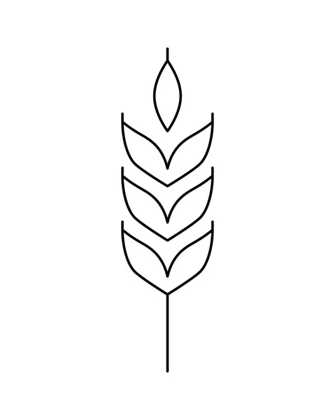 Ícone Linear Vetorial Orelha Trigo Isolado Fundo Branco Emblema Design —  Vetores de Stock