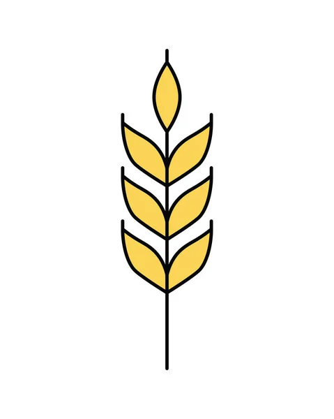 Векторная Линейная Иконка Пшеничного Уха Выделена Белом Фоне Эмблема Дизайн — стоковый вектор