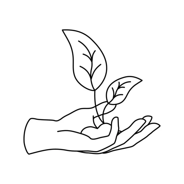 Vector Linear Icon Human Hand Holding Growing Plant Isolated White — Stock Vector