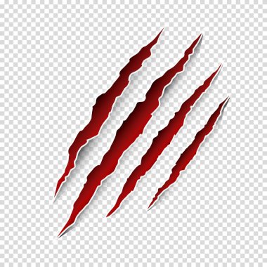 Saydam arka planda izole edilmiş hayvan pençesi çiziklerinin vektör çizimi