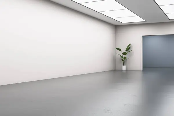 Сучасний Інтер Галереї Бетонними Підлогами Відображенням Чистим Глузуванням Місце Стіні Стокова Картинка