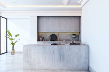 Minimalist mutfak, beton ada, ahşap dolap ve parlak arka planda saksı bitkisi. Modern mimarinin 3 boyutlu tasarımı