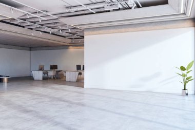 Modern mobilyalar ve bilgisayarlar, beyaz duvar, ışık tabanı ve modern iş konseptinde saksı bitkisi olan uçsuz bucaksız boş bir ofis. 3B Hazırlama
