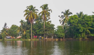 Palmiye ağaçları ve mavi gökyüzü olan güzel tropikal bir manzara.