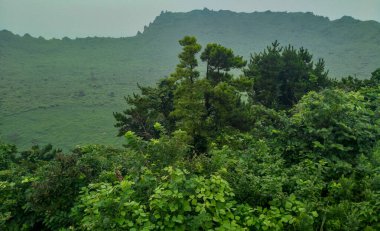 Güney Kore, Temmuz 2016