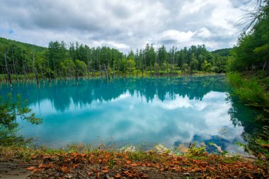 Shirogane mavi göleti, suyun içindeki koloidal alüminyum hidroksit, Biei, Kamikawa Subfecture, Hokkaido, Japonya