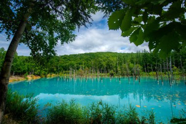 Shirogane mavi göleti, suyun içindeki koloidal alüminyum hidroksit, Biei, Kamikawa Subfecture, Hokkaido, Japonya
