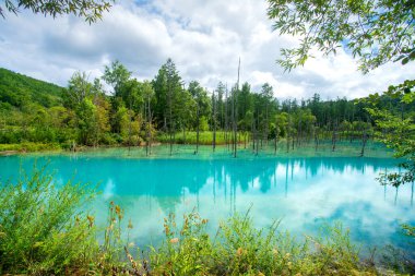 Shirogane mavi göleti, suyun içindeki koloidal alüminyum hidroksit, Biei, Kamikawa Subfecture, Hokkaido, Japonya