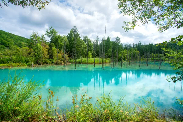 Shirogane Blue Pond Cor Pensado Para Resultar Hidróxido Alumínio Coloidal Imagem De Stock