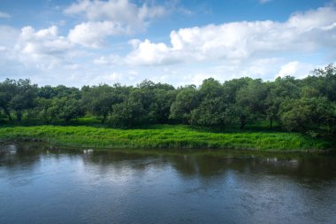 Kushiro Shitsugen Ulusal Parkı 'ndaki Kushiro Nehri, Kushiro, Hokkaido, Japonya