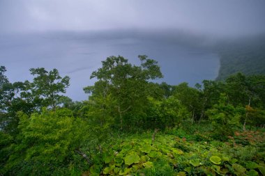 Mashu Gölü, Akan Mashu Ulusal Parkı, Teshikaga, Kushiro Bölgesi, Hokkaido, Japonya 'da potansiyel olarak aktif bir volkanın kalderasında oluşmuş bir endorheic krater gölüdür.