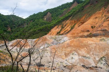 Jigokudani, veya Cehennem Vadisi olarak adlandırılan sıcak buhar bacaları, sülfür akıntıları ve diğer volkanik aktiviteler, Noboribetsu Onsen, Noboribetsu, Hokkaido, Japonya 'nın ana kaynağı