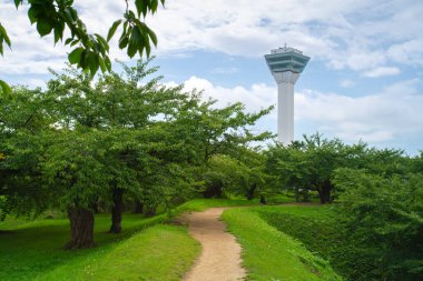 Goryokaku kalesi, Edo Dönemi (1603-1868), Hakodate, Hokkaido, Japonya