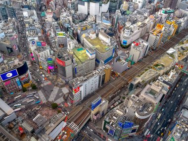 Tokyo, Japonya - 7 Mart 2024 - Tokyo şehrinin hava sahnesi Shibuya gökyüzünden izlendi