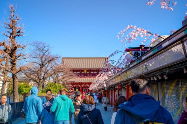 Asakusa, Tokyo, Japonya - 9 Mart 2024 - İnsanlar Tokyo 'ya geldiklerinde turistler için popüler bir yer olan Sensoji Tapınağı' nı ziyaret ederler ve yerel halk sık sık dilekleri için dua etmeye gelirler.