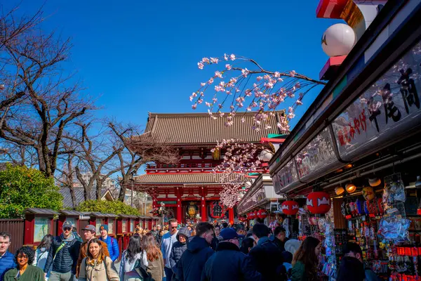 Asakusa, Tokyo, Japonya - 9 Mart 2024 - İnsanlar Tokyo 'ya geldiklerinde turistler için popüler bir yer olan Sensoji Tapınağı' nı ziyaret ederler ve yerel halk sık sık dilekleri için dua etmeye gelirler.