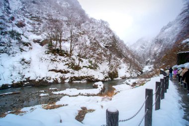 Kiyotsu Vadisi ya da Kiyotsu-kyo, Japonya 'nın Niigata Eyaleti' nde, Joshinetsu-kogen Ulusal Parkı 'nın Kiyotsu Nehri üzerinde yer alan bir kanyon.